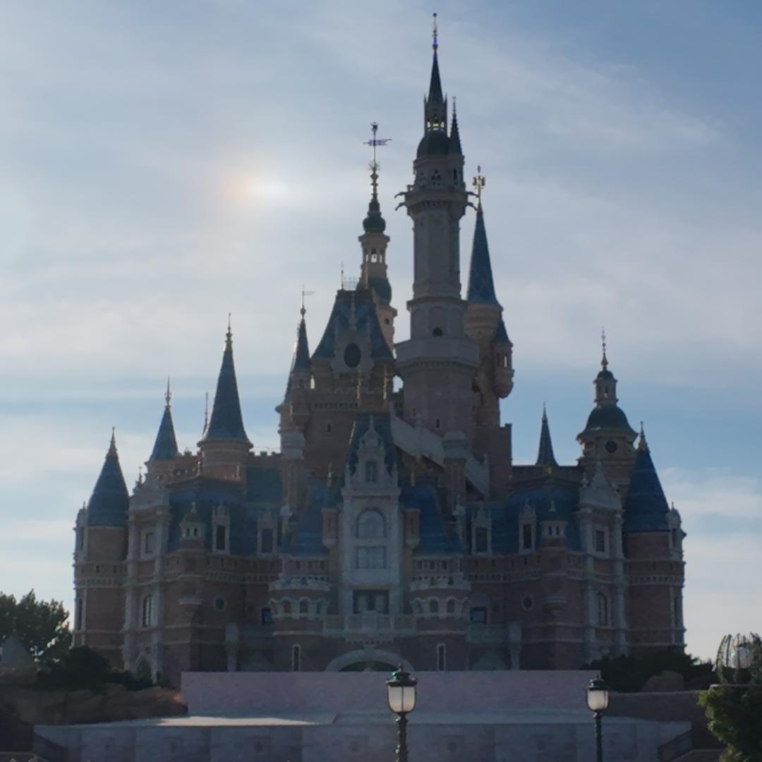 迪斯尼小虎33VIP信息工作室（个体工商