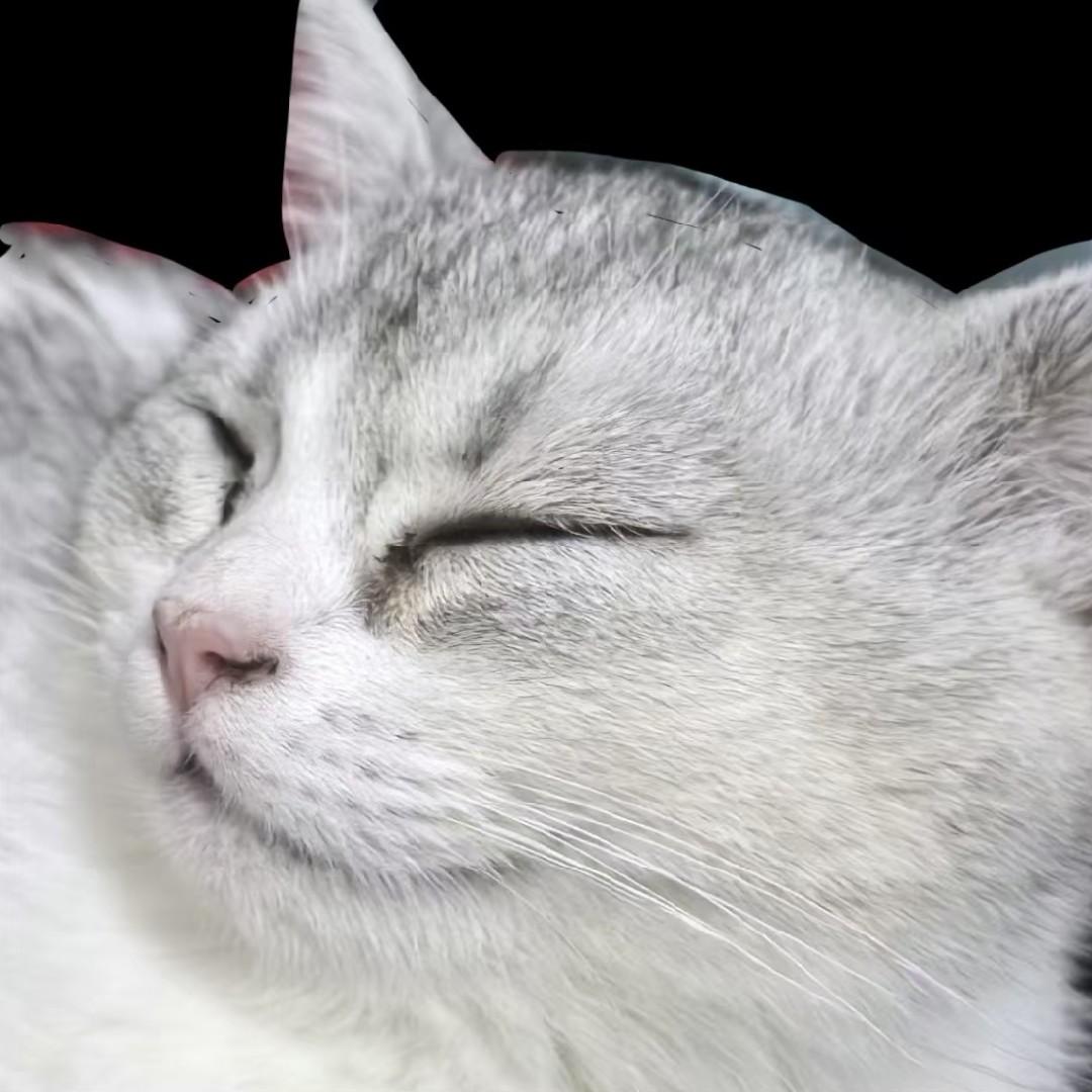 爱玩游戏的猪抓