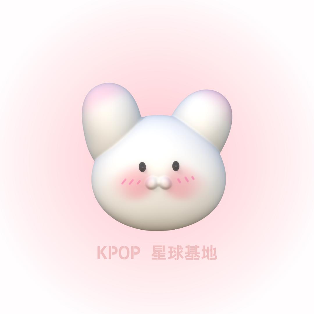 KPOP专供你担专辑周边