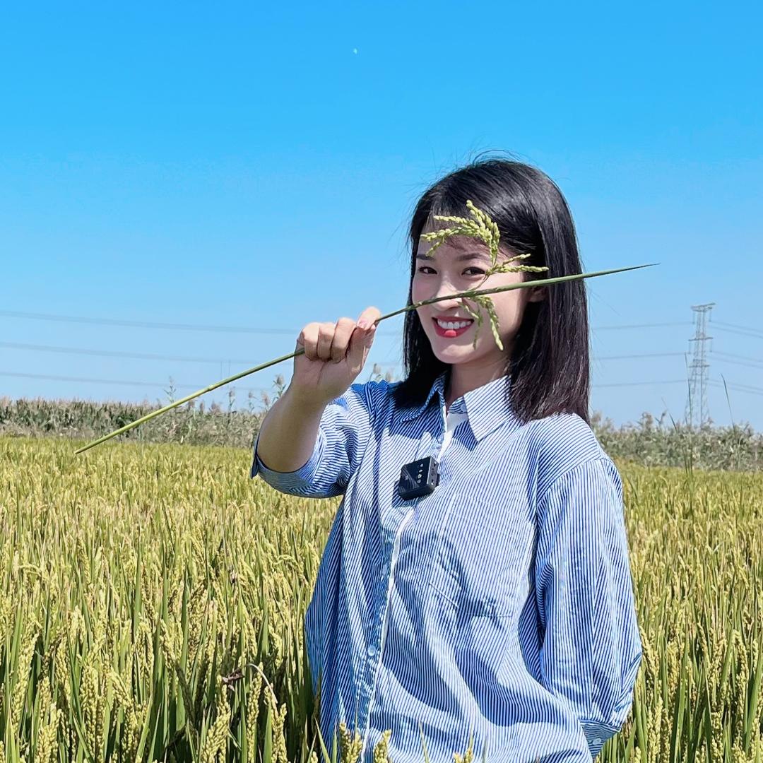 赋农程程