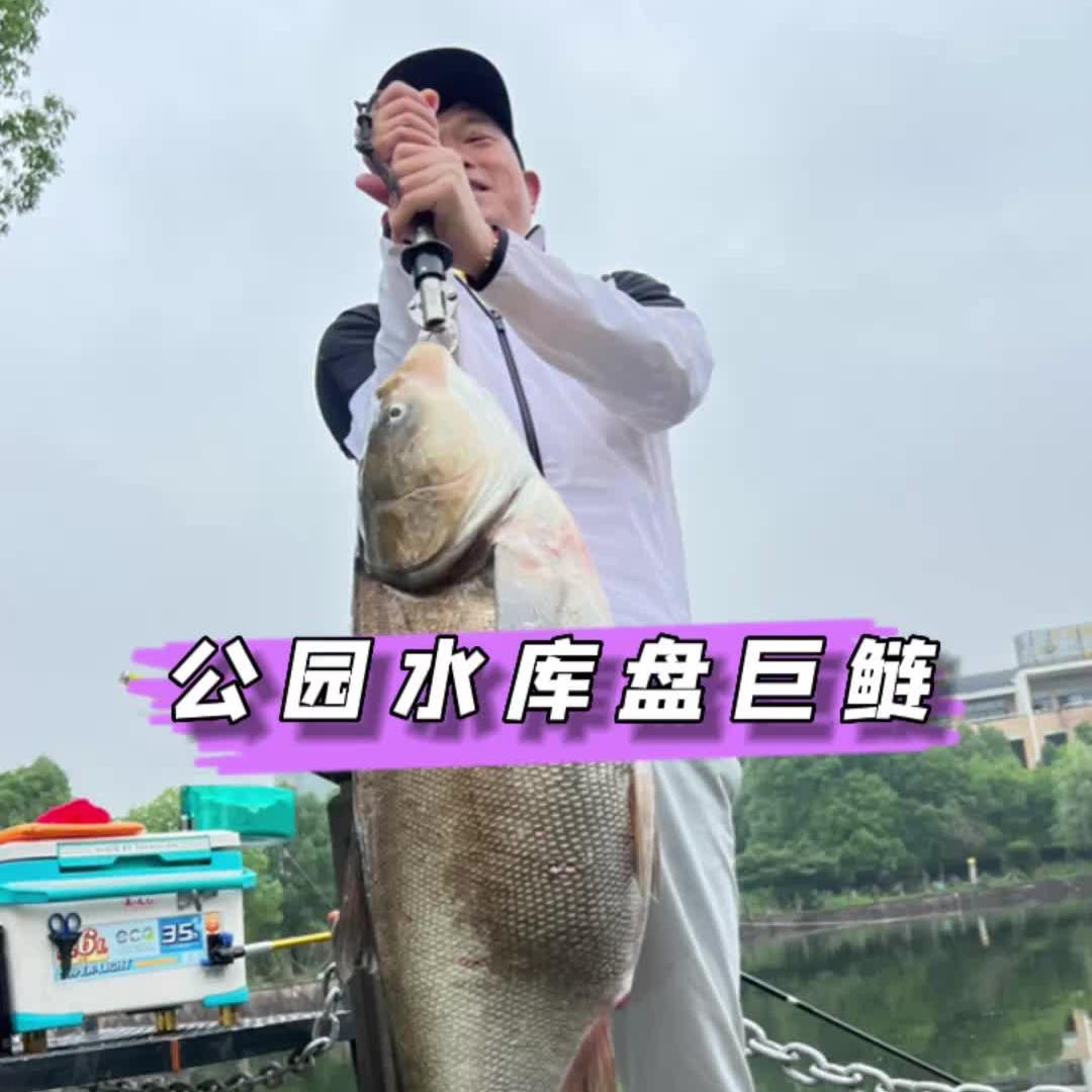 邓老师严选
