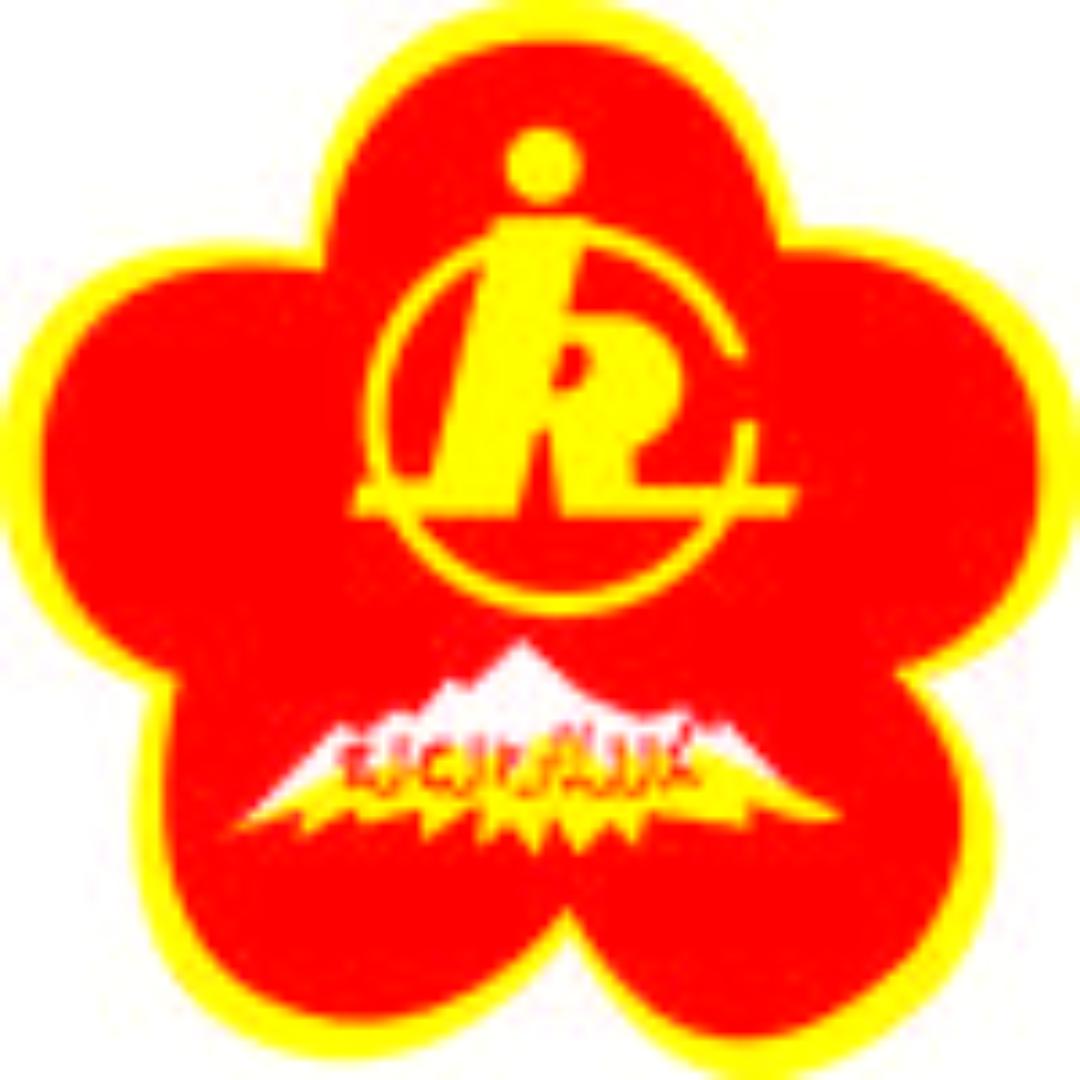 新疆残疾人福利基金会