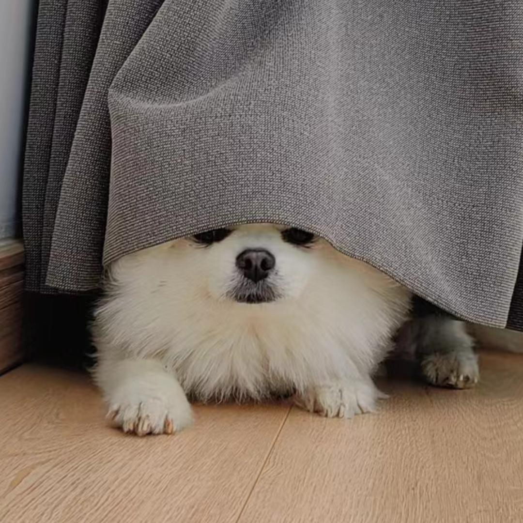 大关晓楠