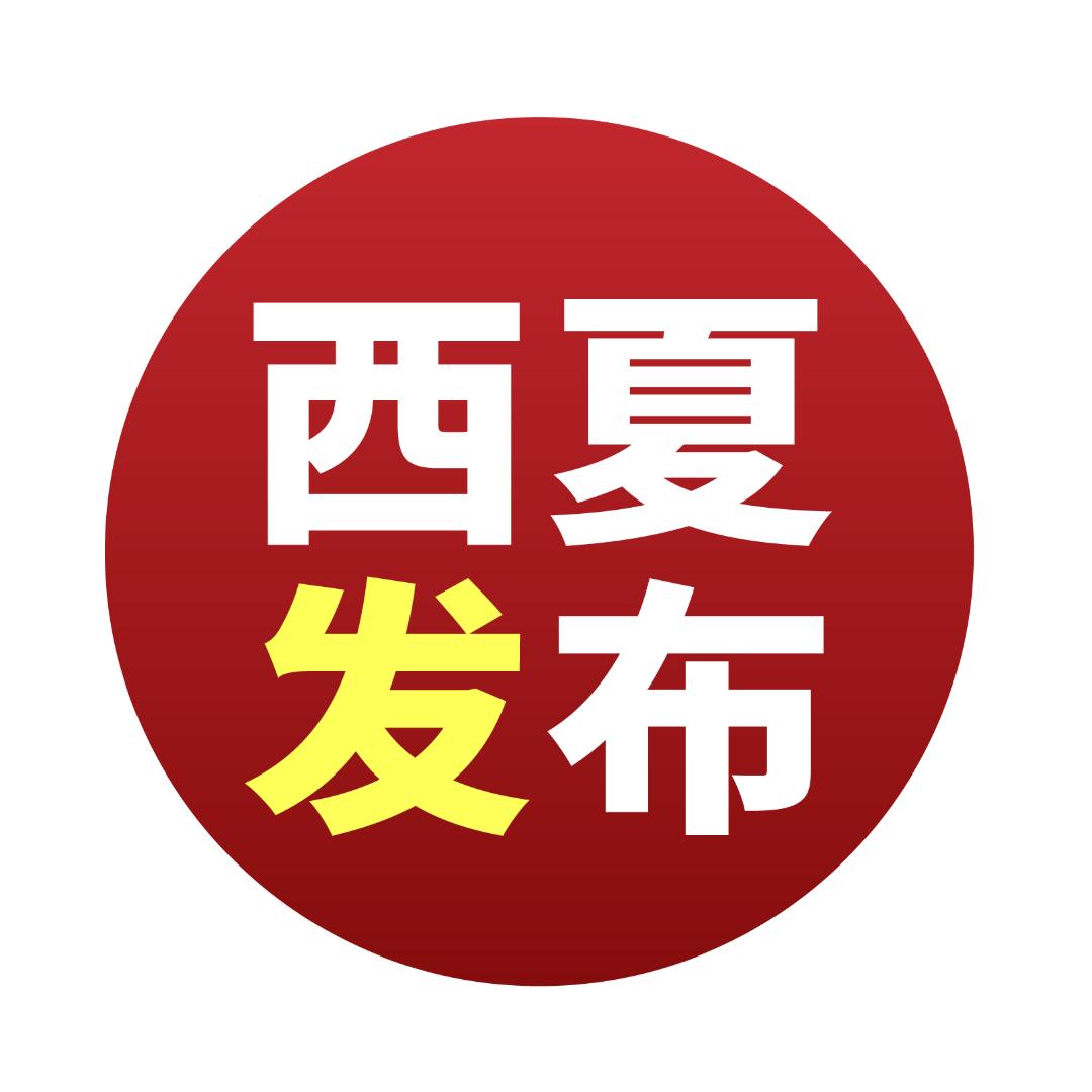 西夏发布