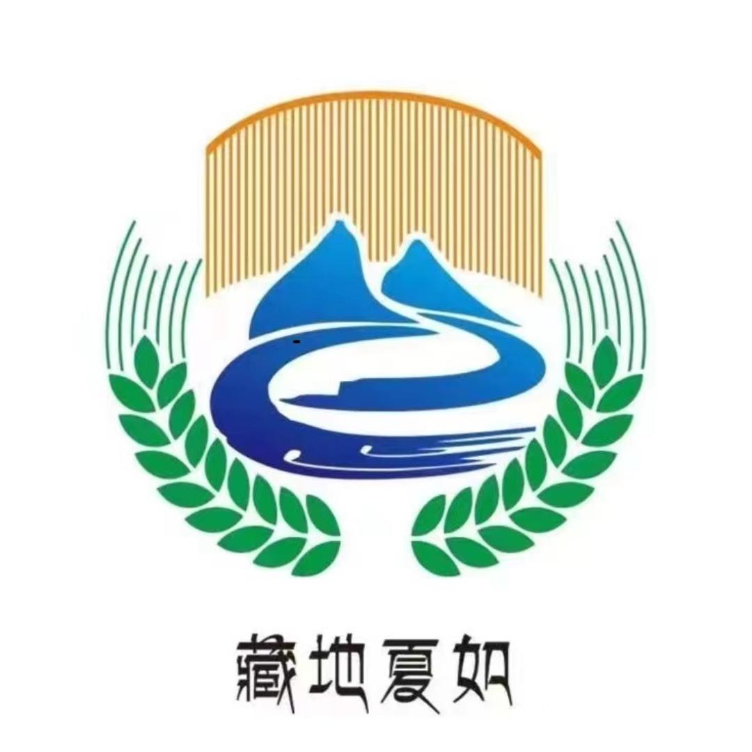 夏如新时代