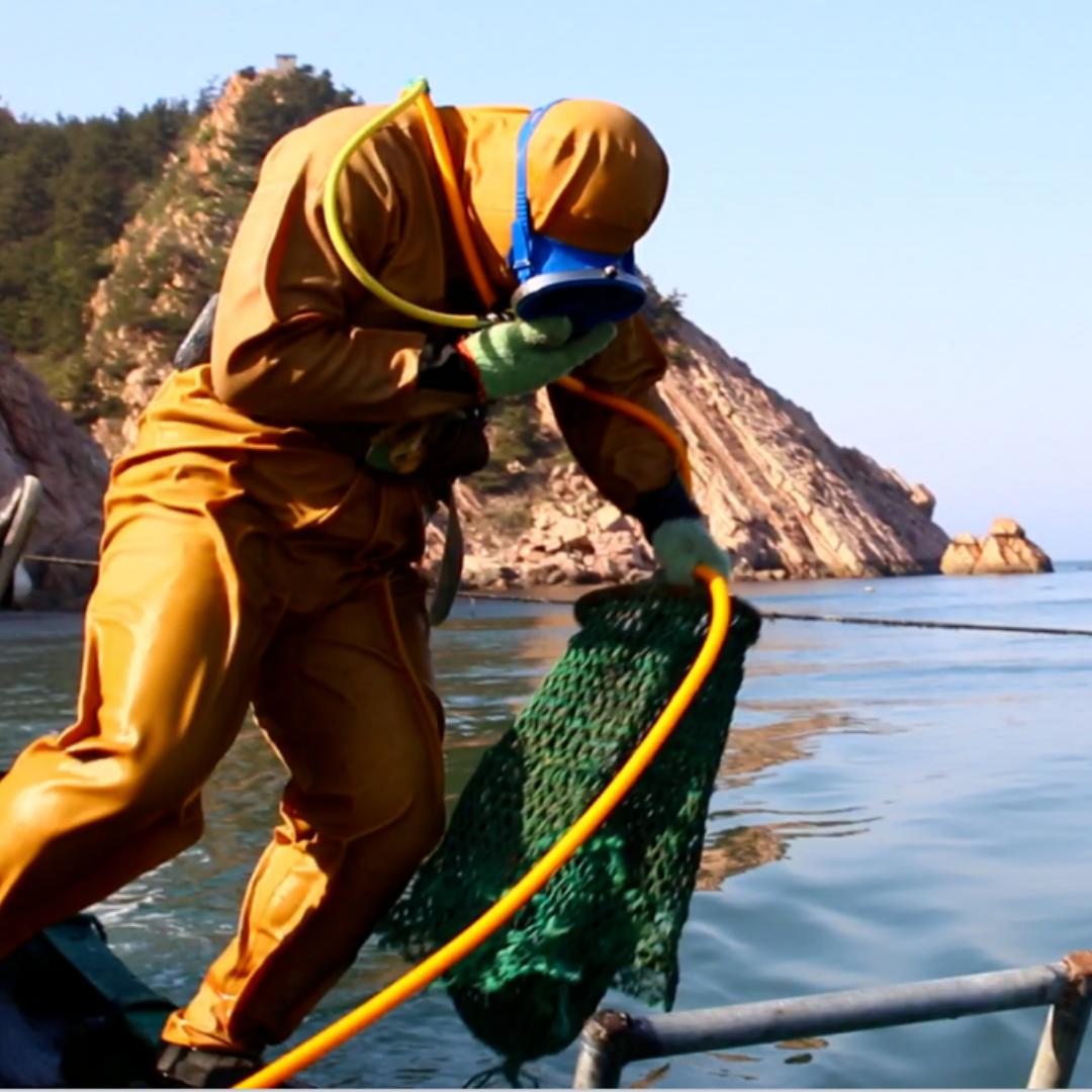 深海优品海参
