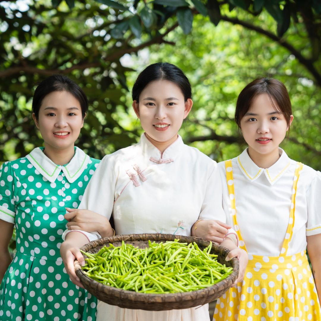 三个女人