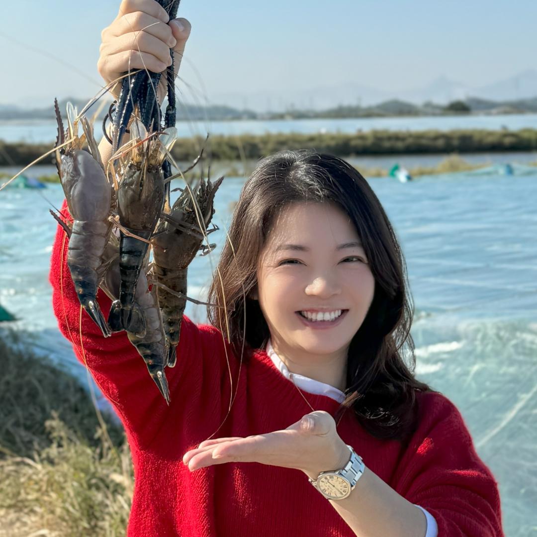 汇创动保
