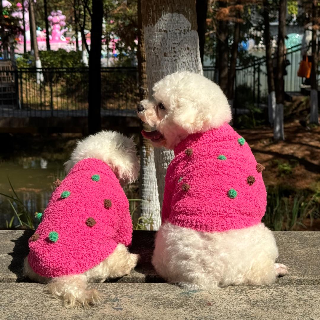 萌宠仓宠物用品店