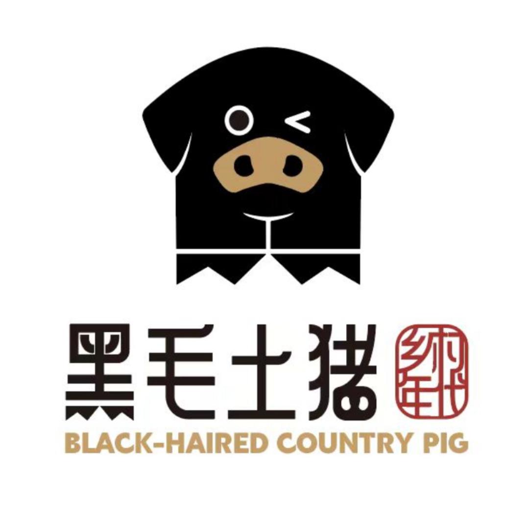 乡村年代黑毛土猪