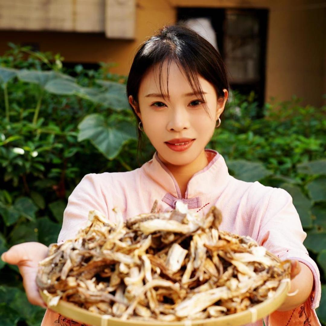 高山鹿茸菇优选