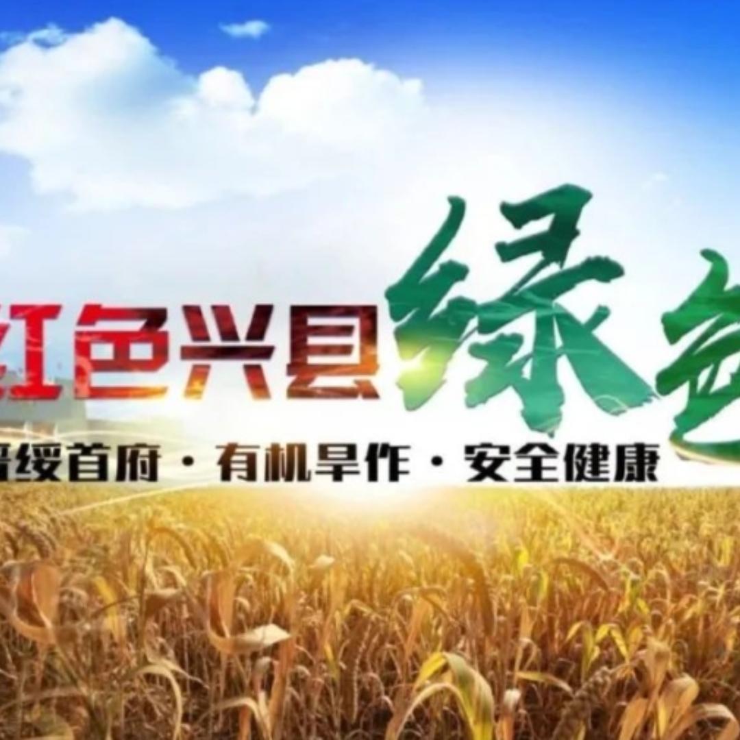 兴县杂粮土特产馆