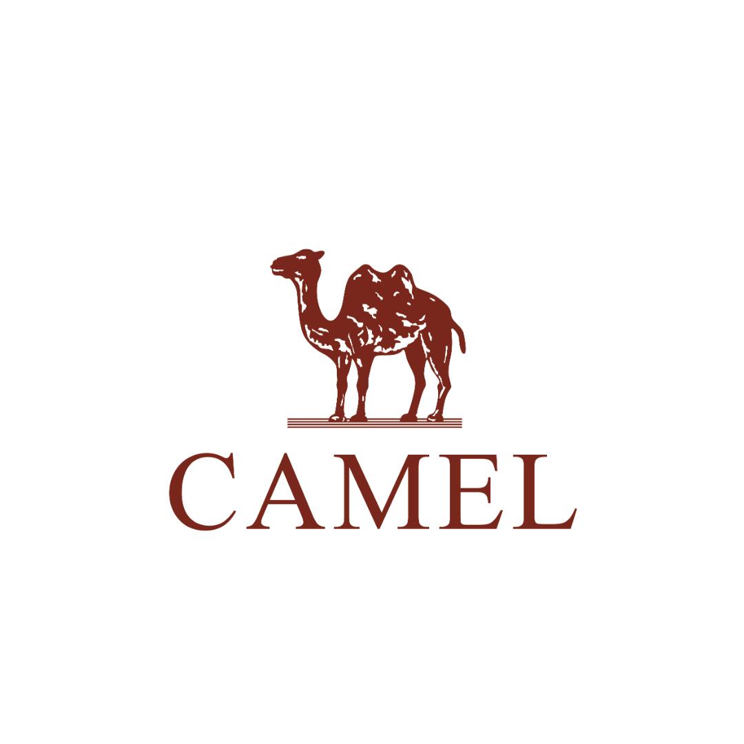 骆驼CAMEL KIDS官方旗舰店
