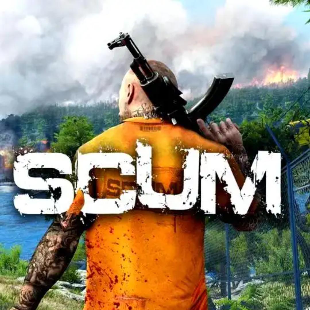 SCUM找队友