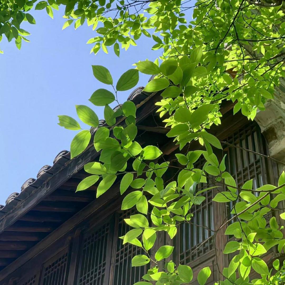 鸿迈建材优选店