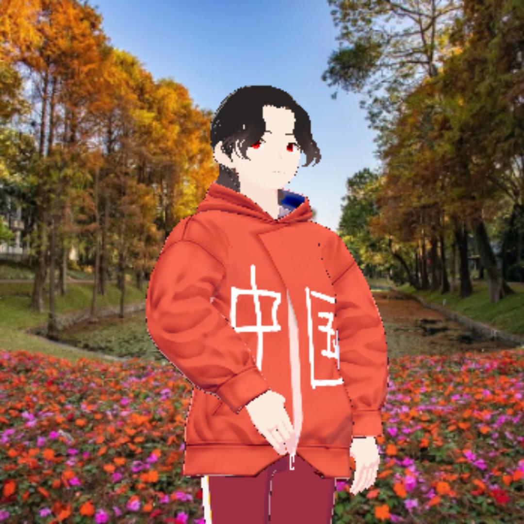 龙寺哥
