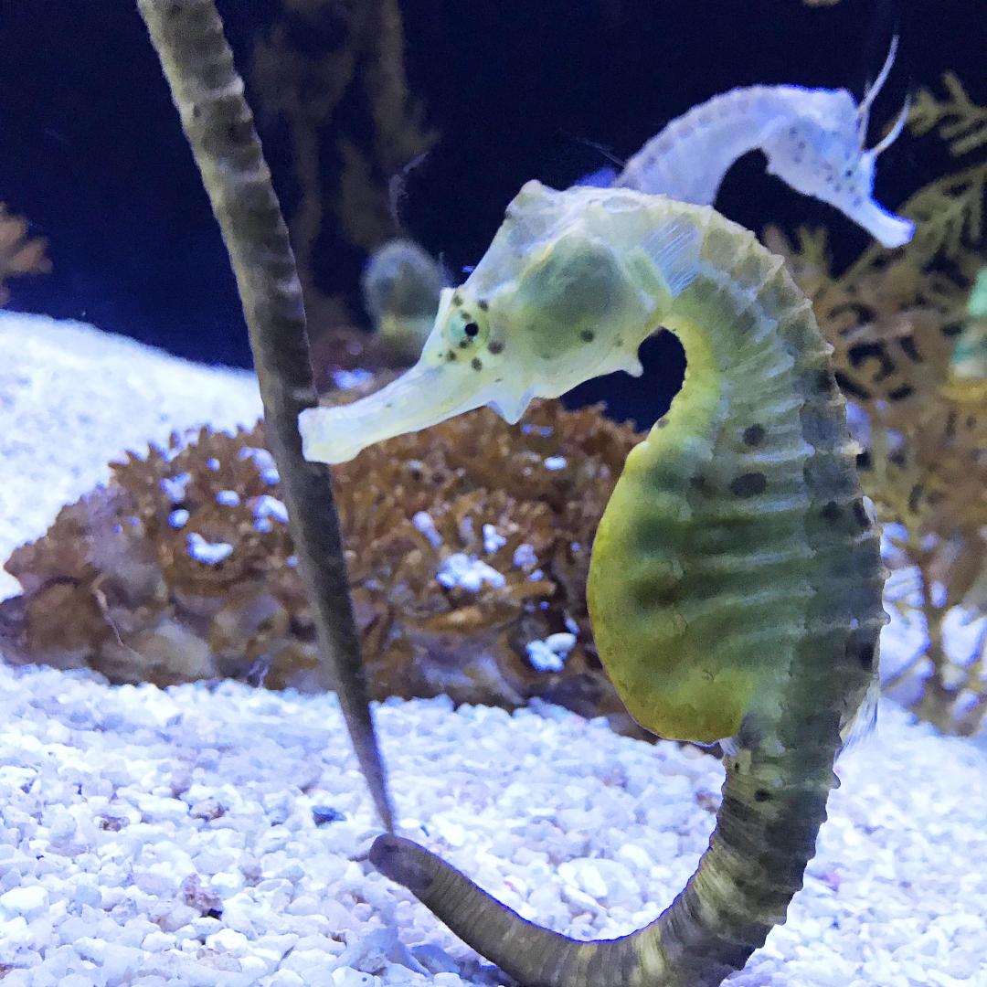 初见本港干货