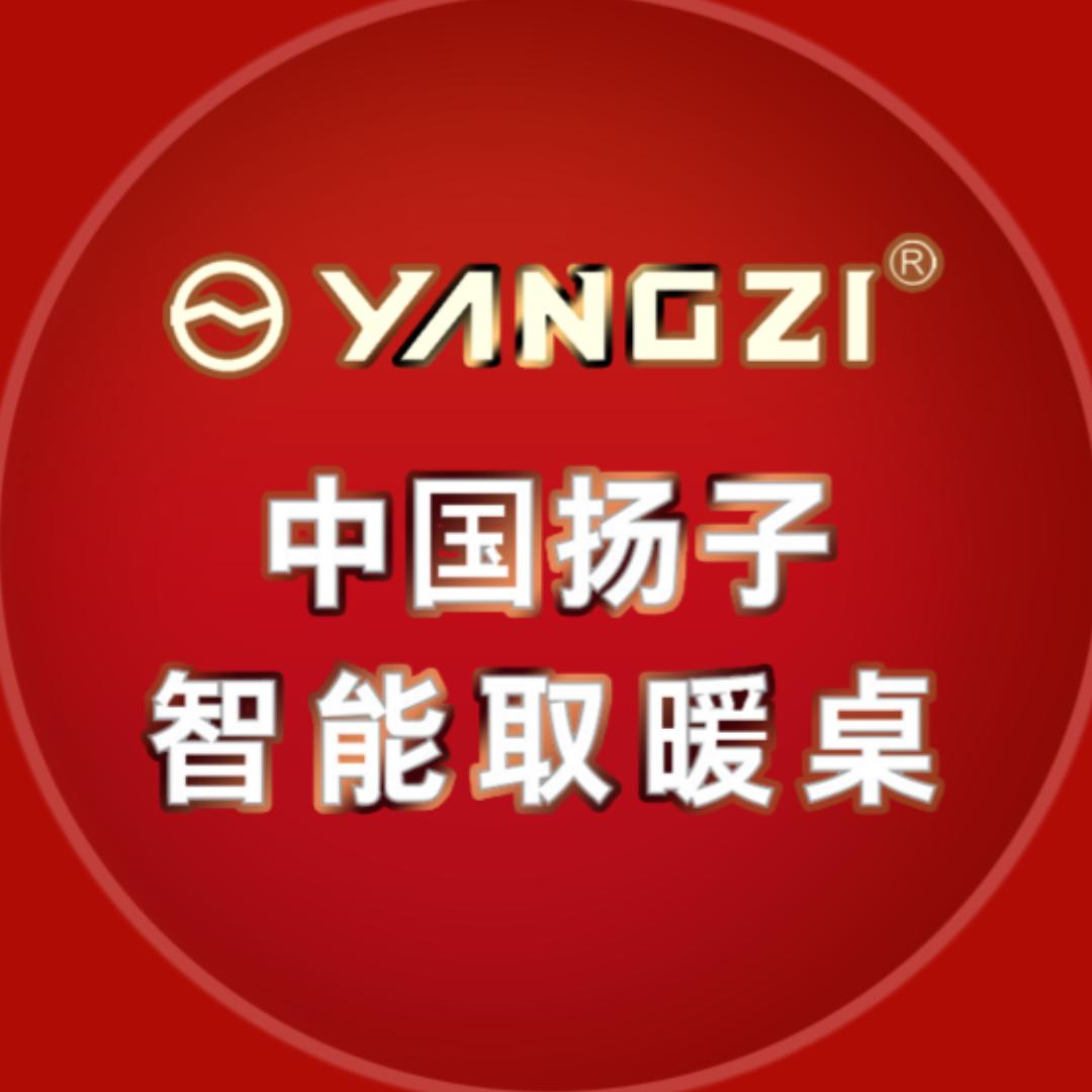 扬子暖易智能电器专卖店