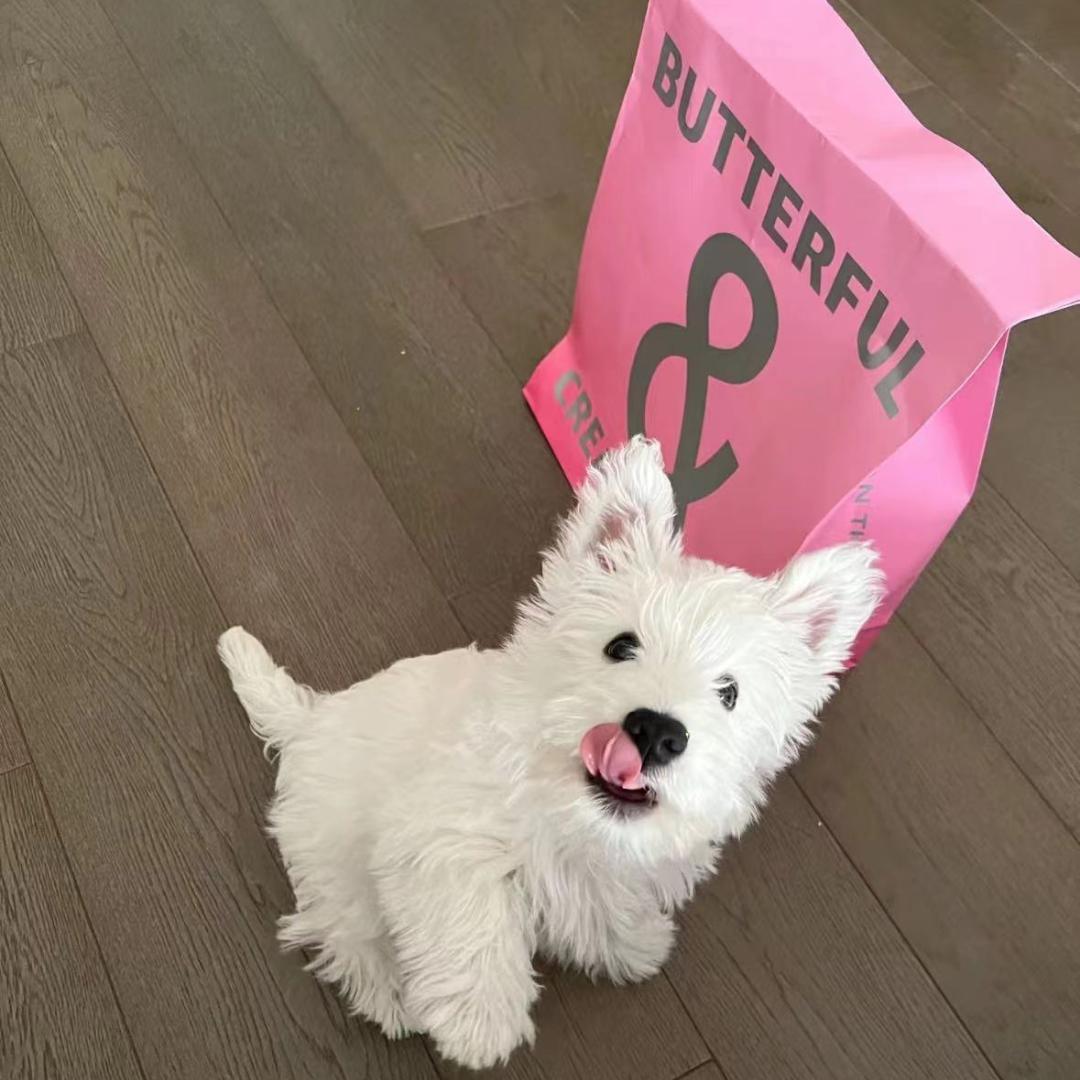 派派甄选