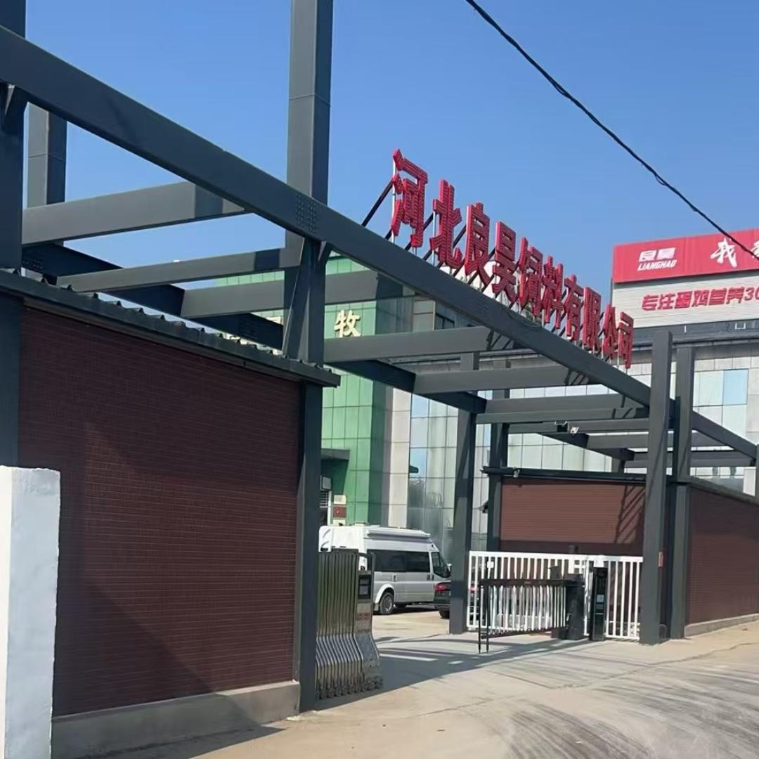良昊：专注蛋鸡高产稳产