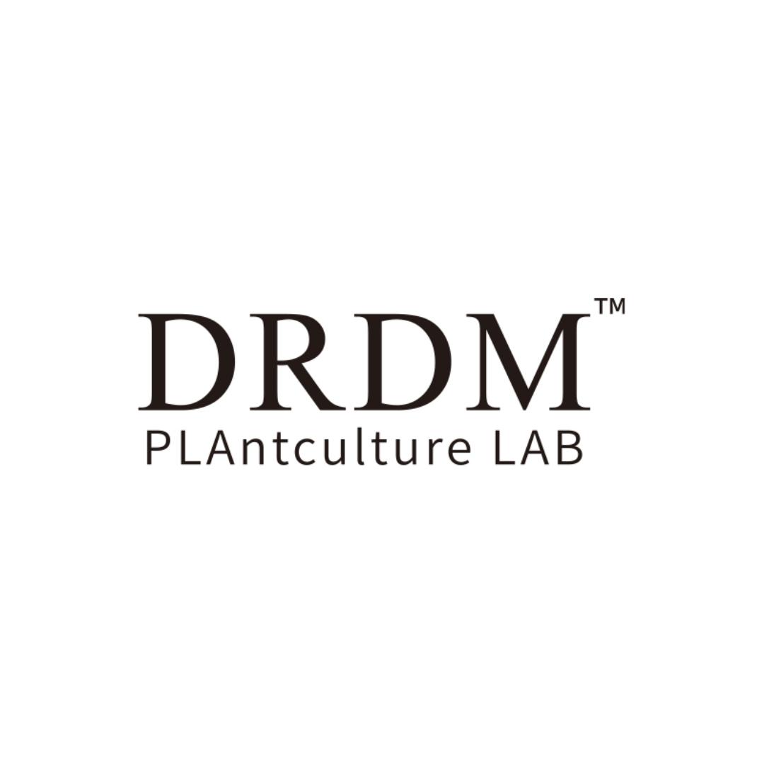 DRDM护肤