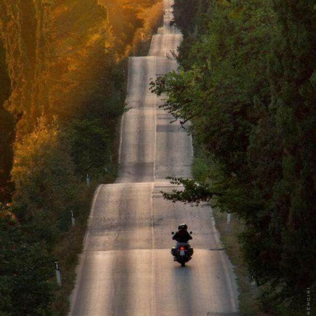 绮犁特色餐饮优品