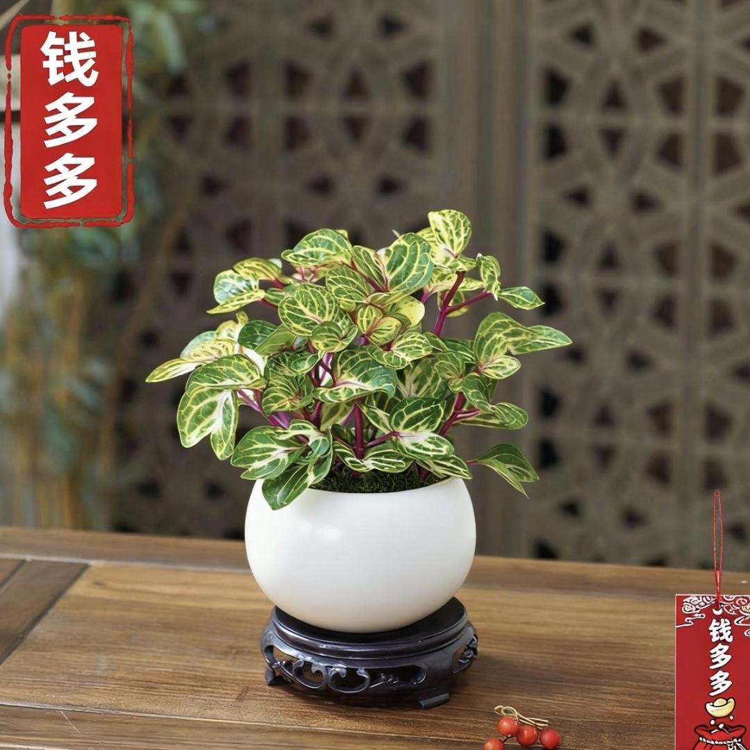 豆角不能炖太熟