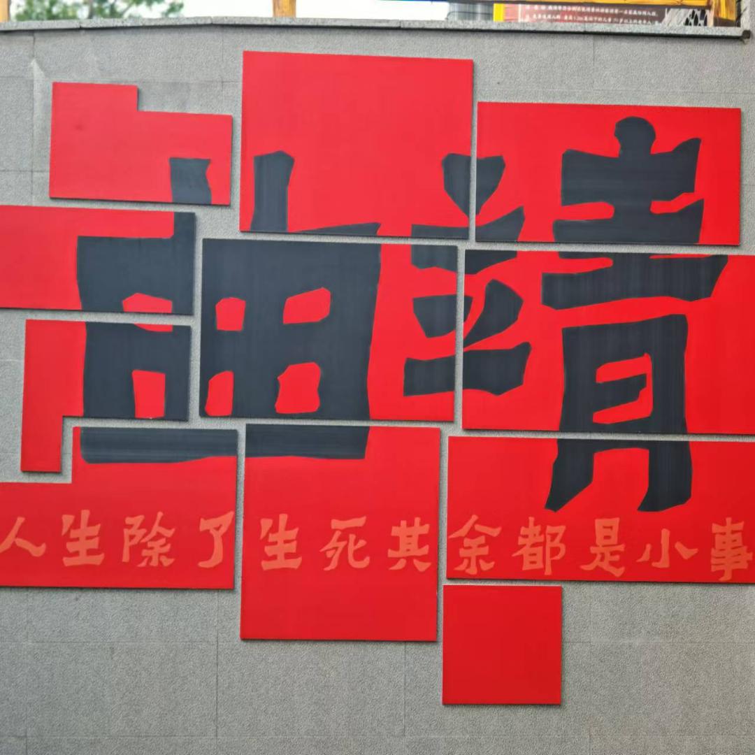 大白菜不菜