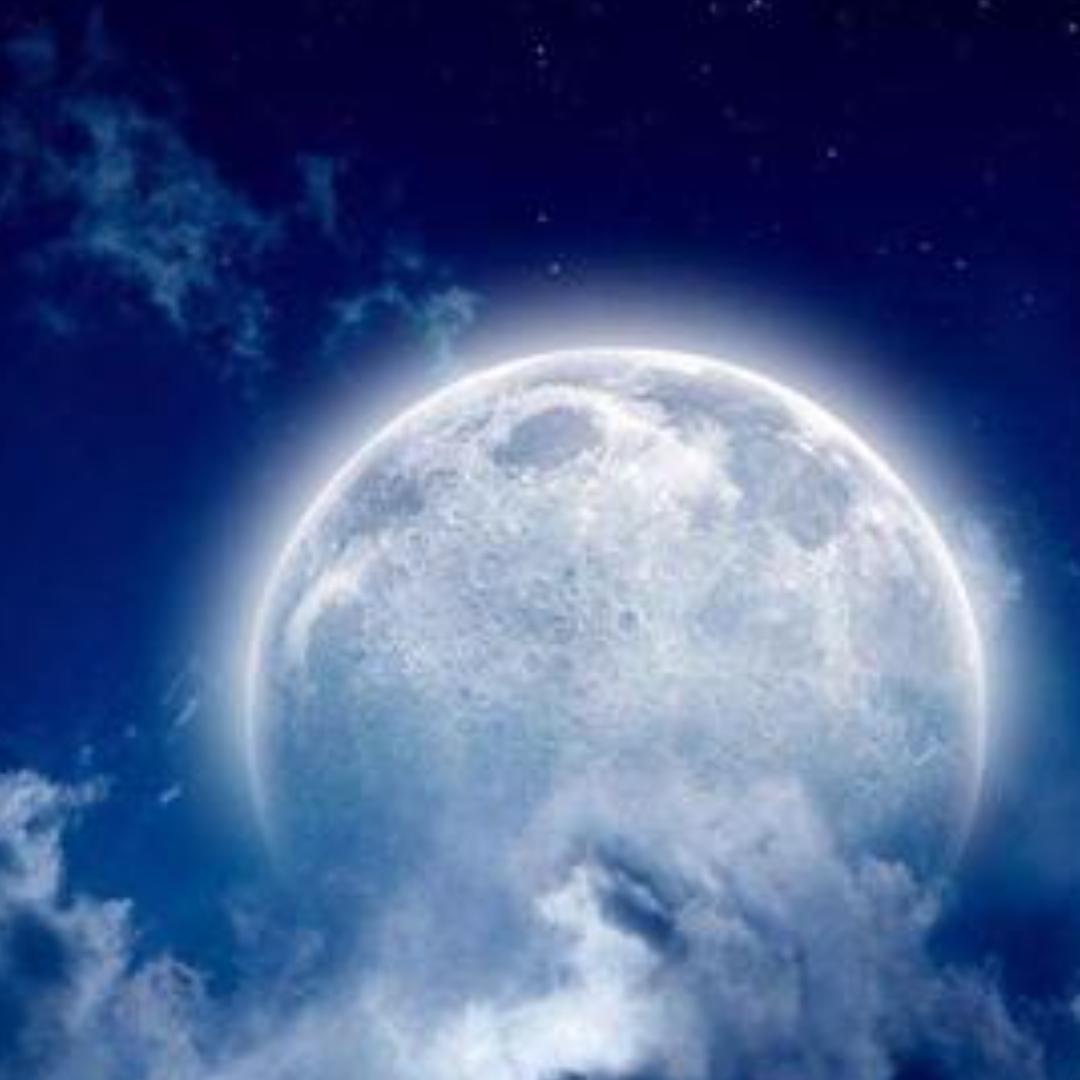 明明🌔