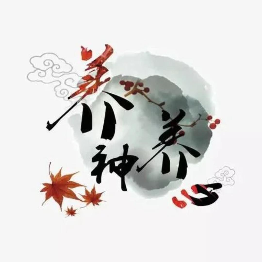 书海漫游