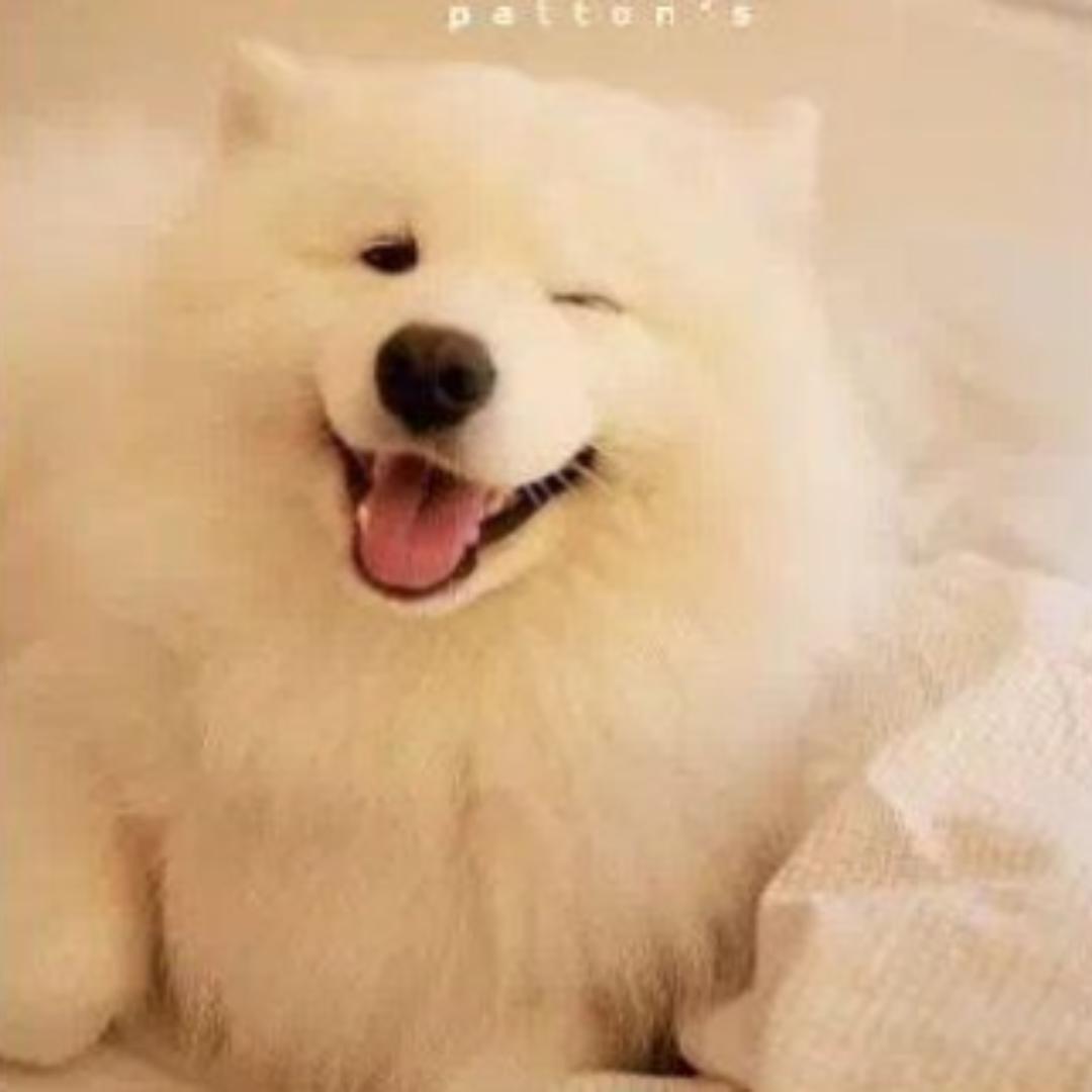遗失的夏尔米