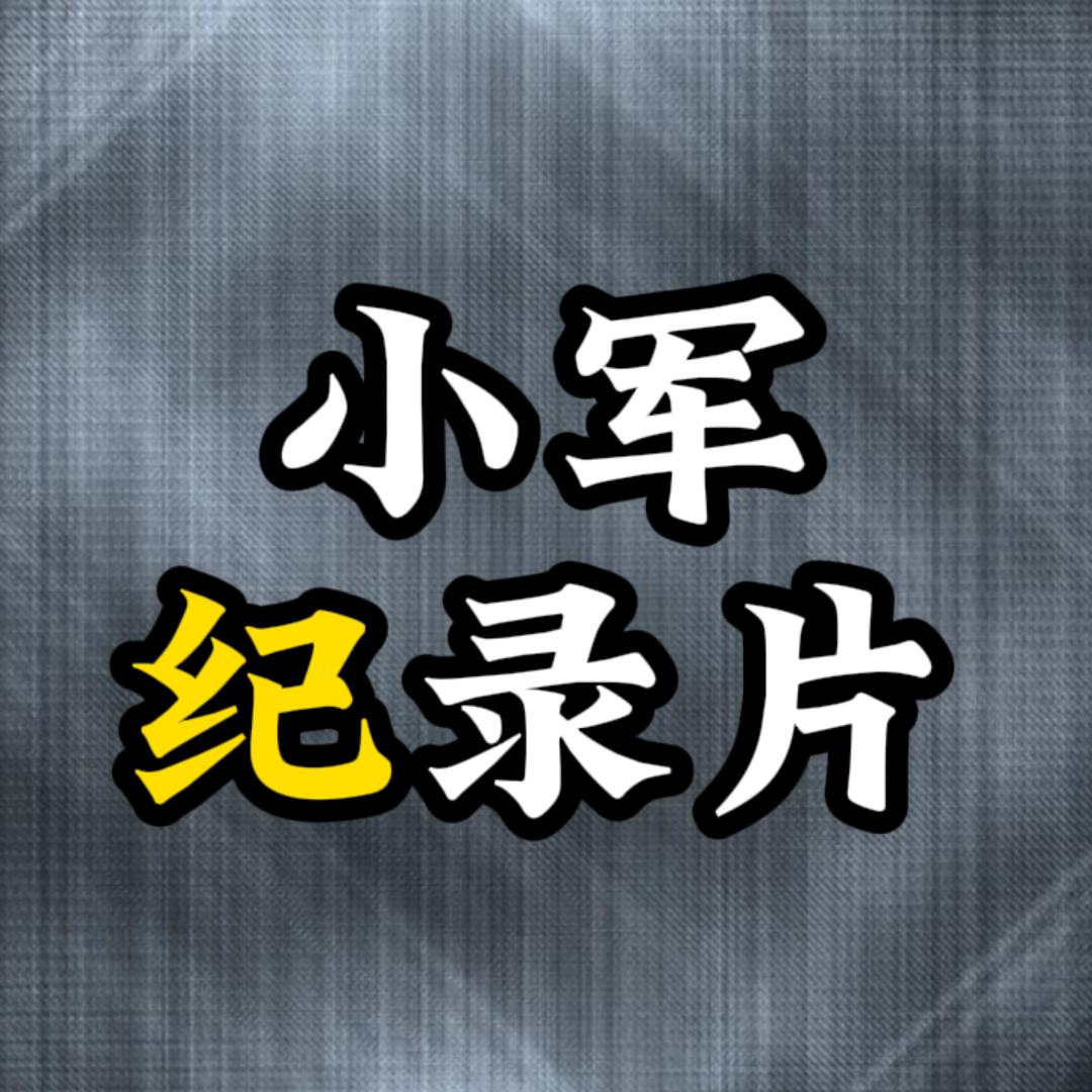 小军纪录片