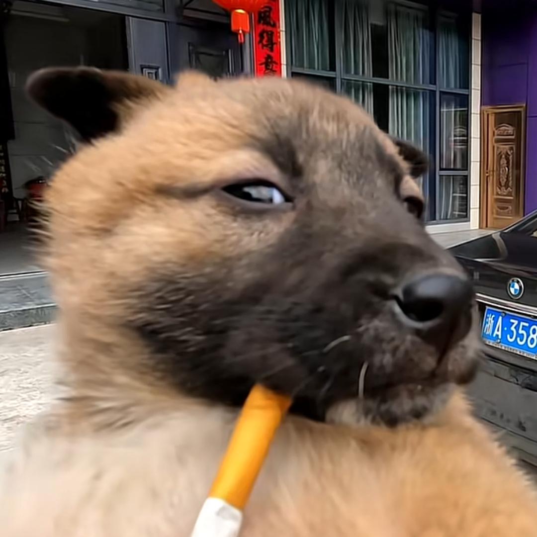 弦