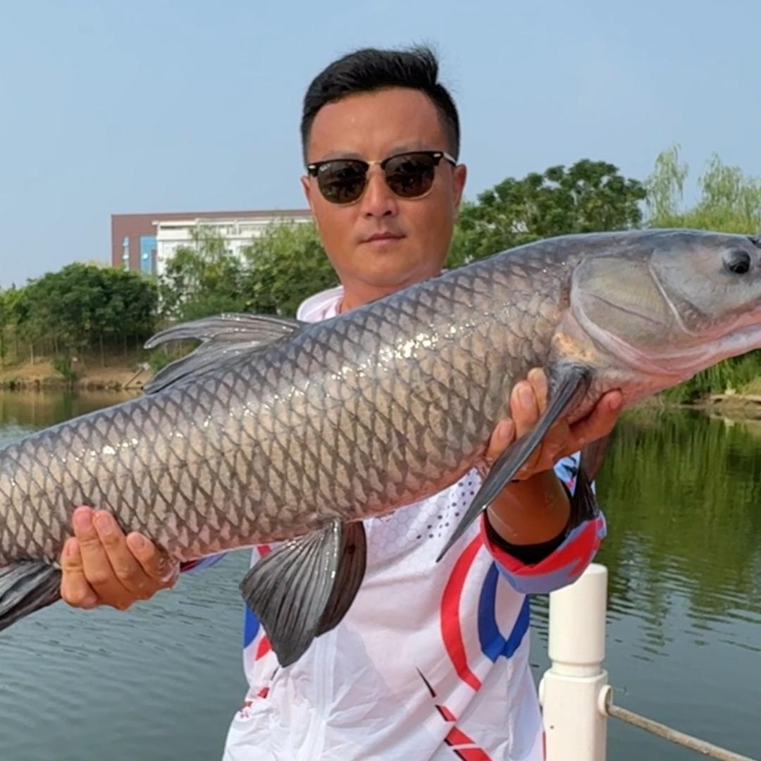龙王恨朱林🎣