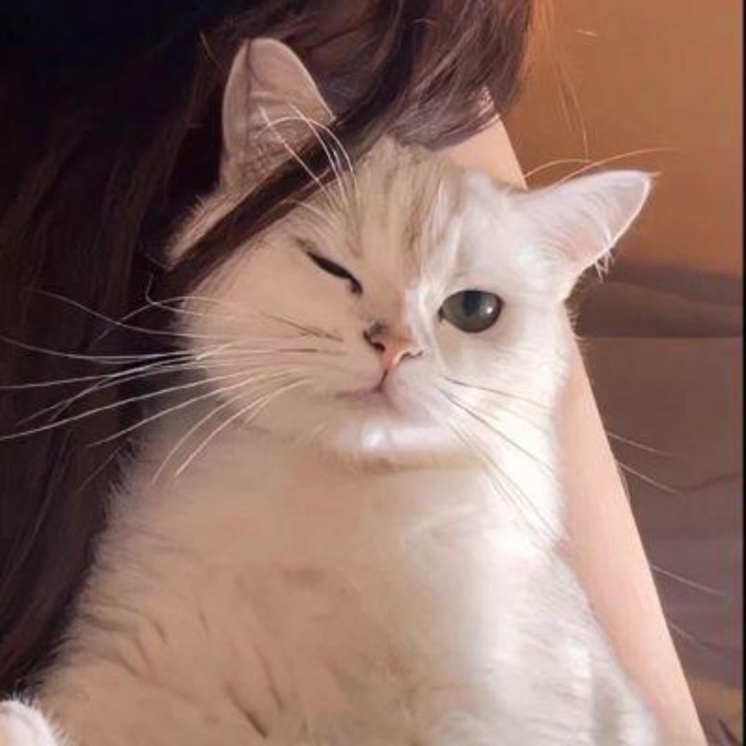 蓝鲸