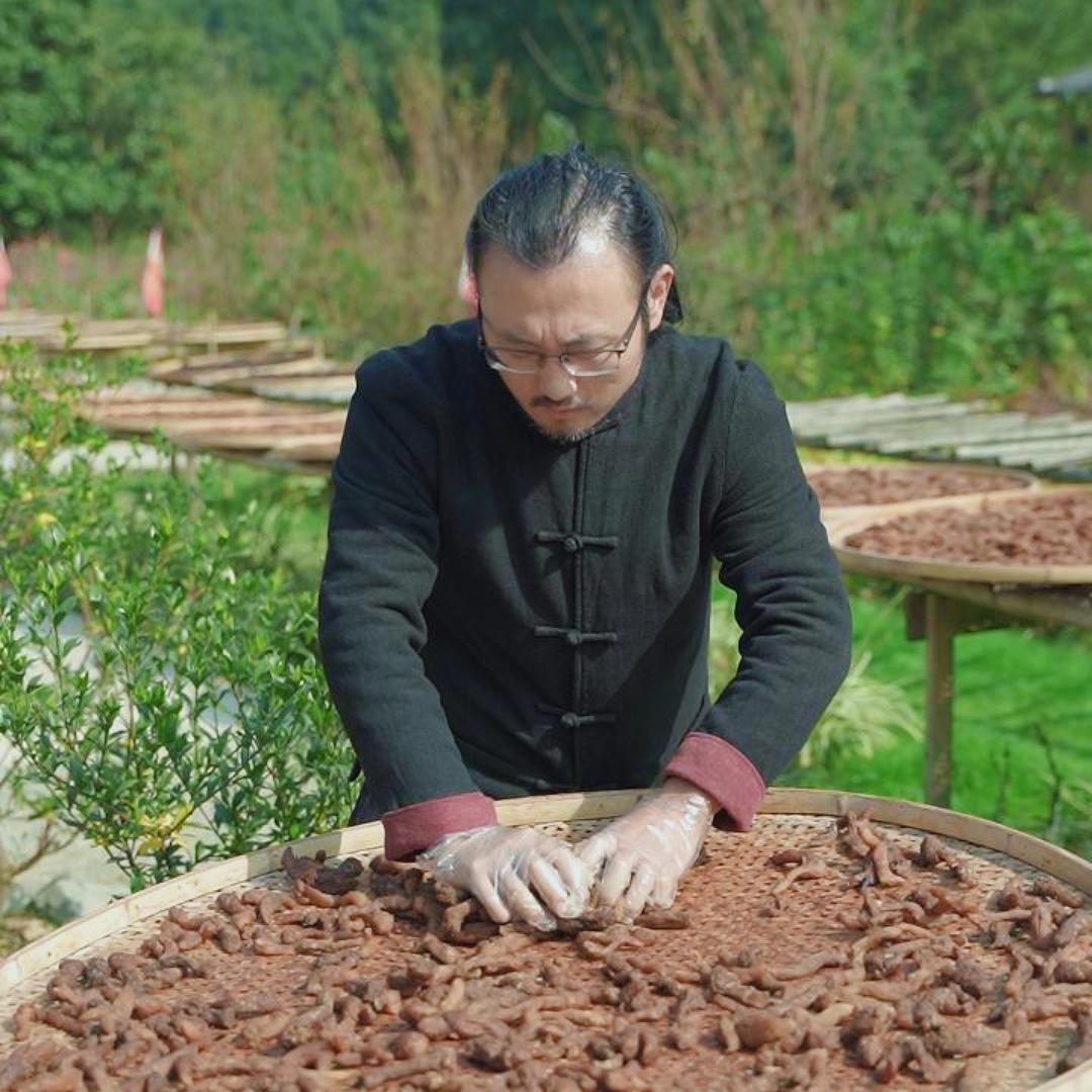 武當滋补严师兄
