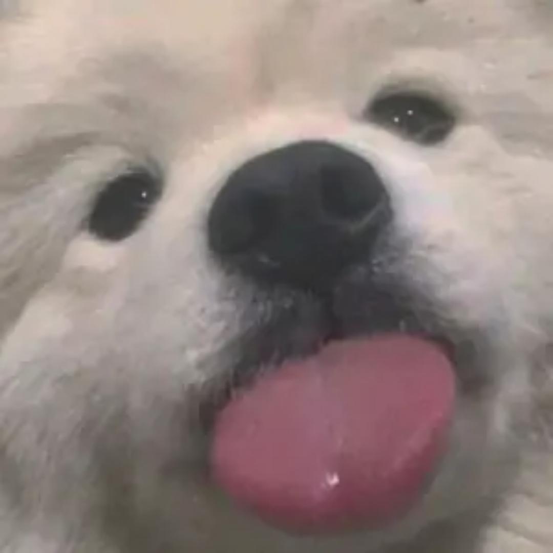 . W .