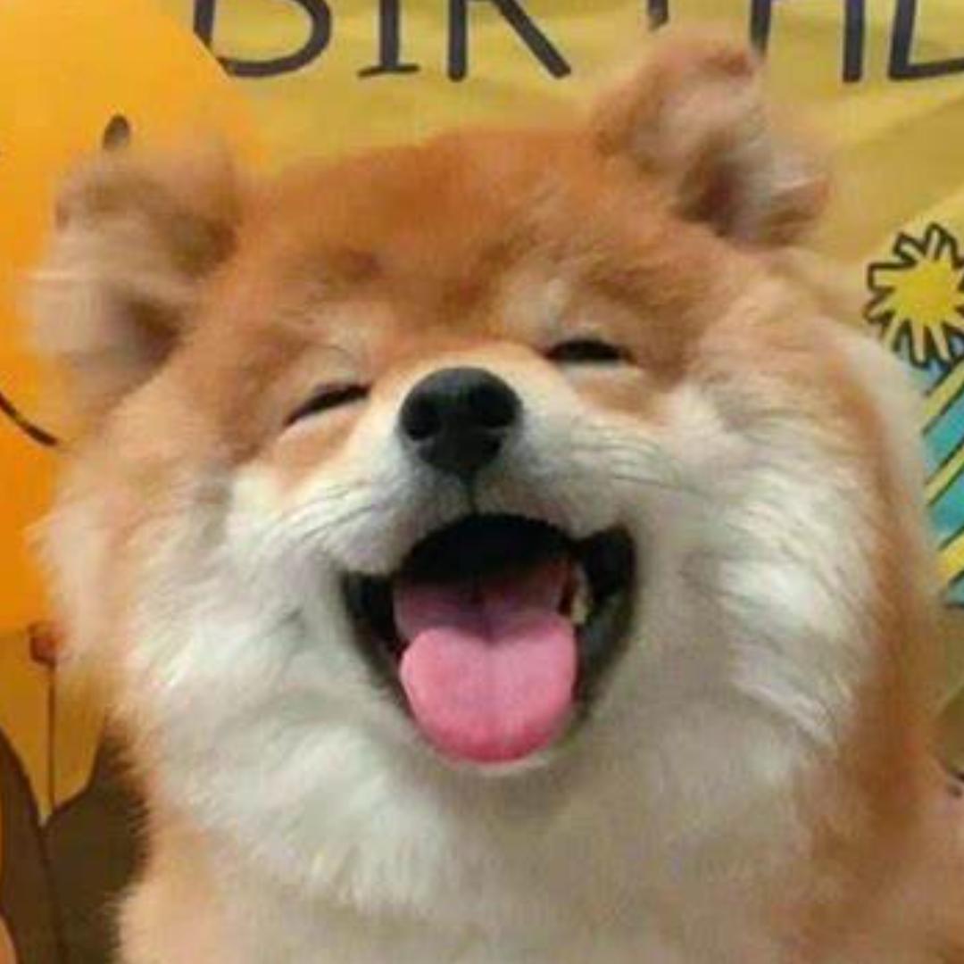 小都的奇趣世界