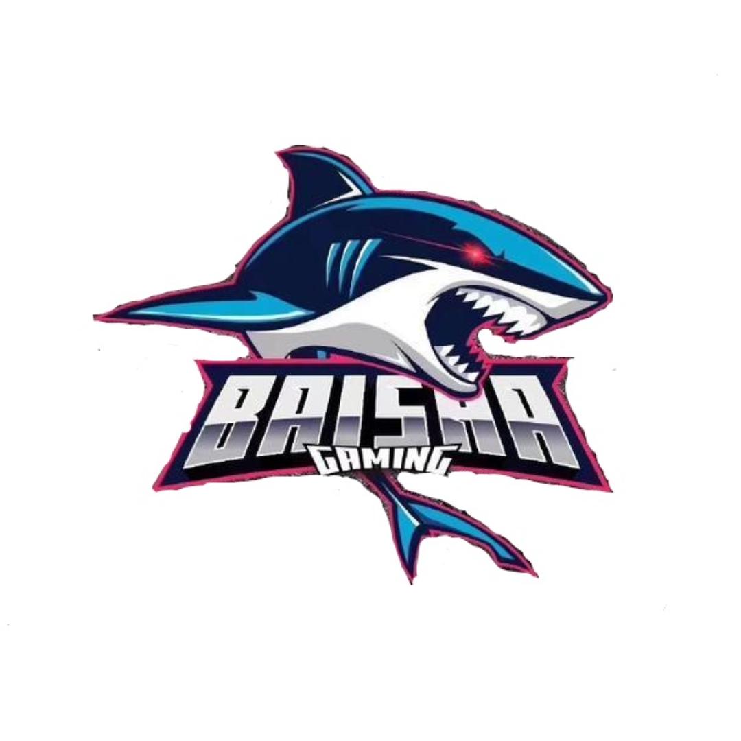 CF白鲨即插（省赛冠军🏆）