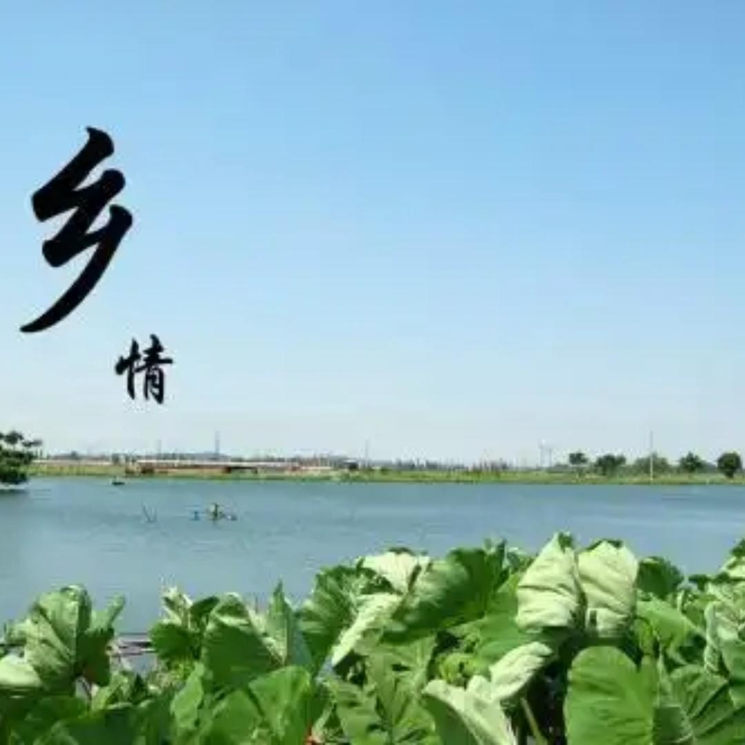 雯昔商贸之家@蕲春