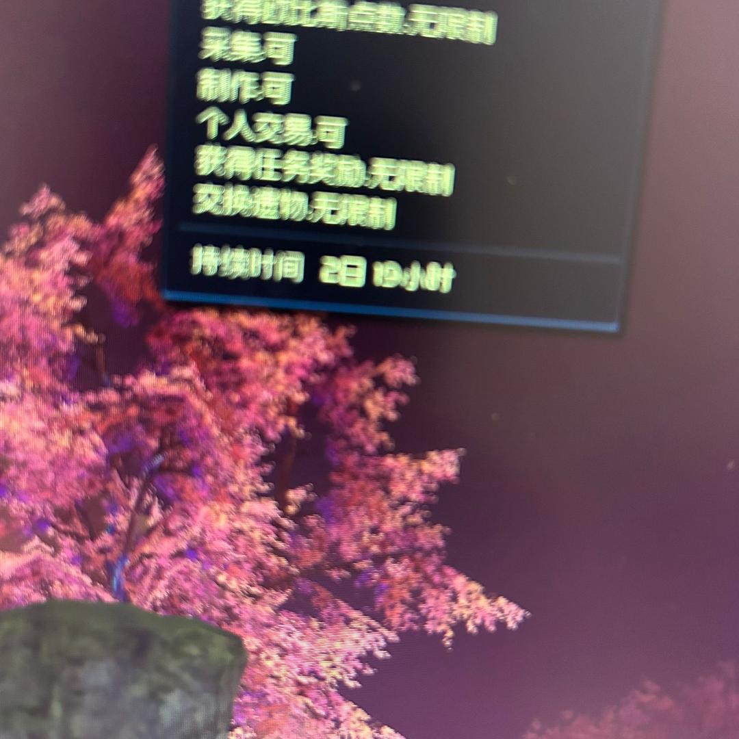 马楼