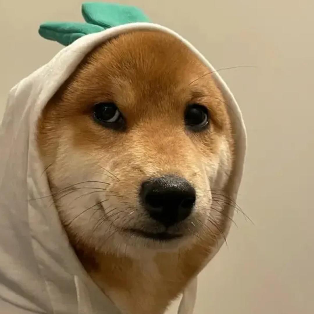 牛牛爆笑社