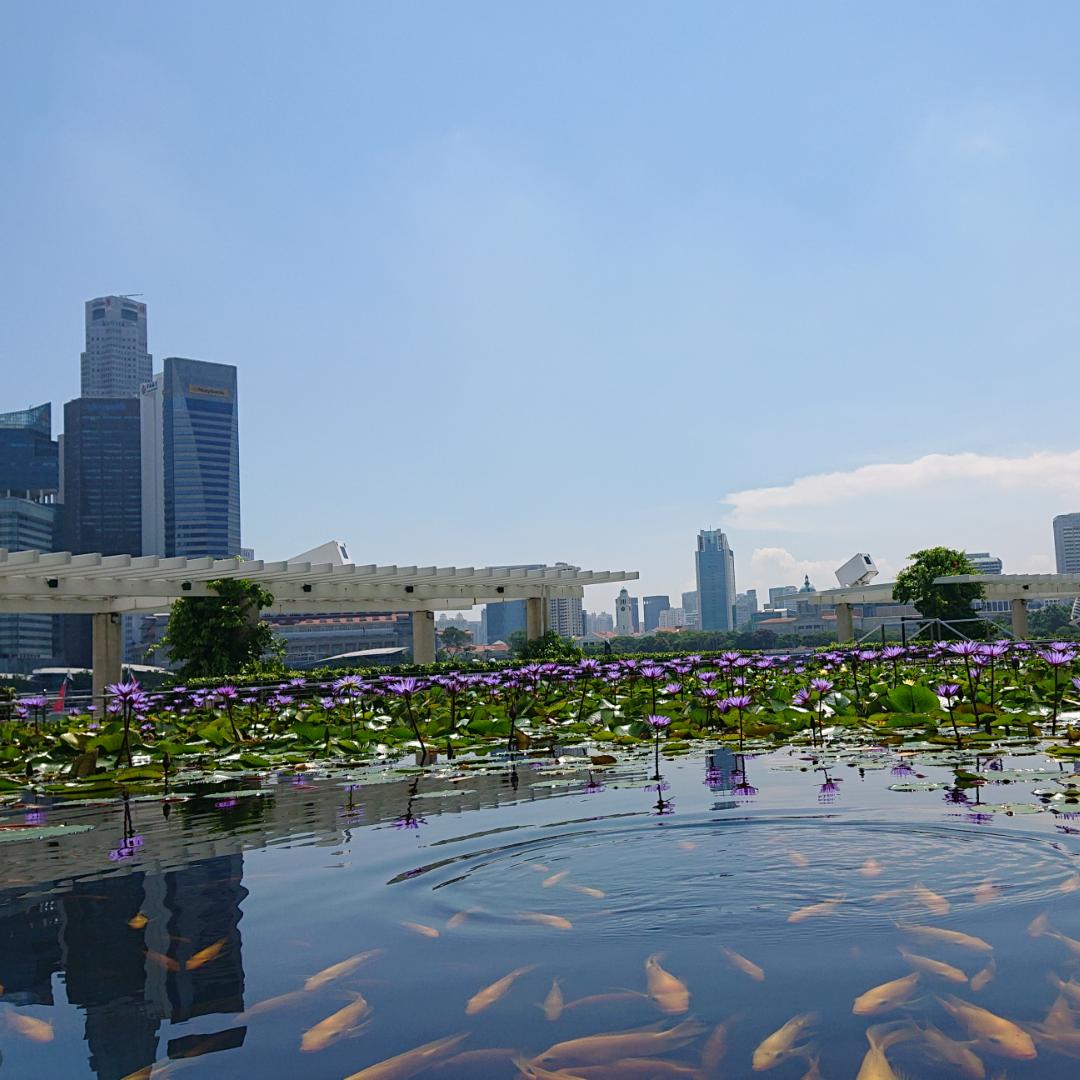 平凡快乐 旺旺⑫号播水上舞台8点半