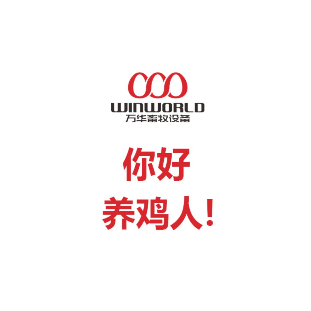 你好，养鸡人