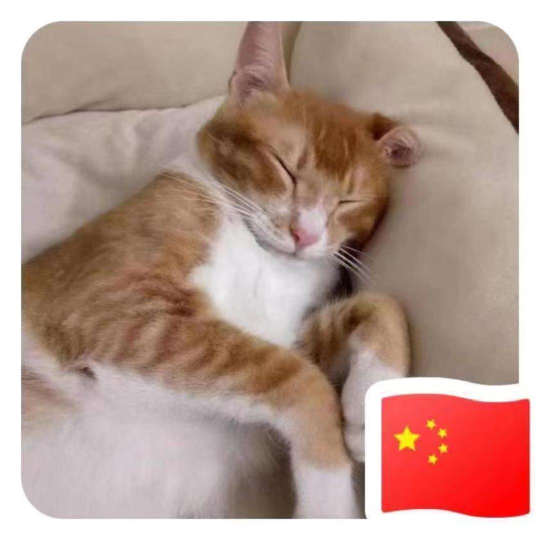 陈胖是只猫