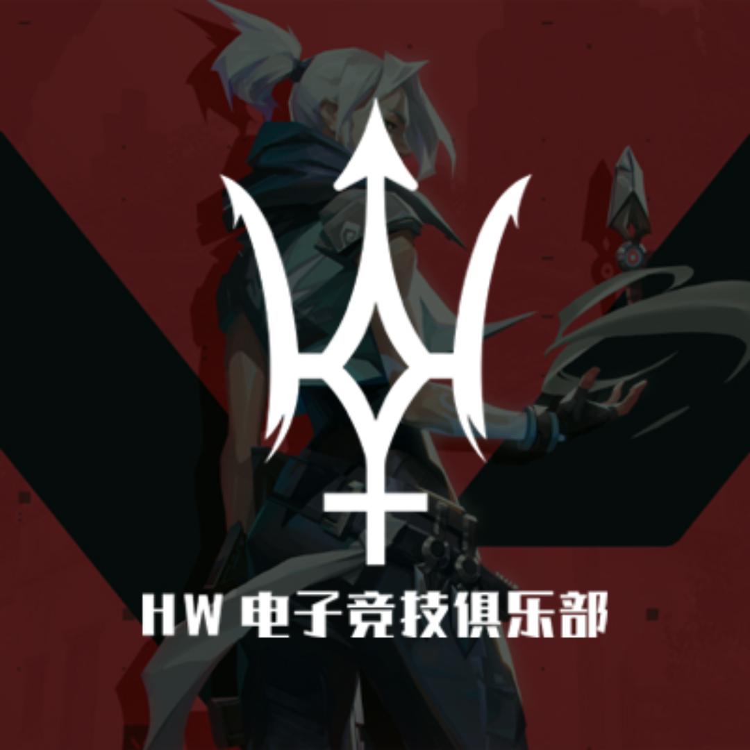 海王电竞（三角洲行动）
