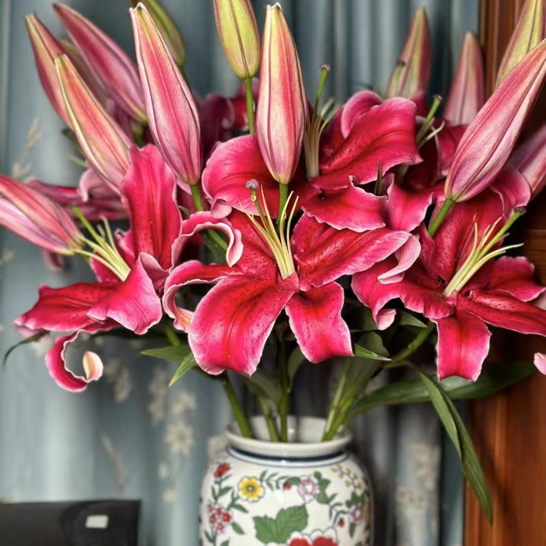 花家生活鲜花优选