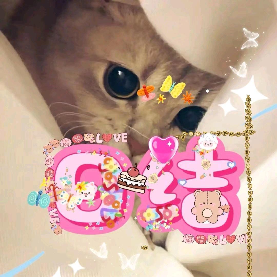 天命搬砖人