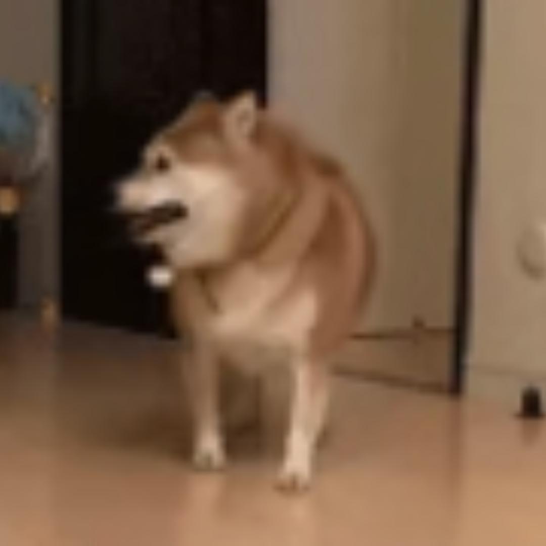 庞二
