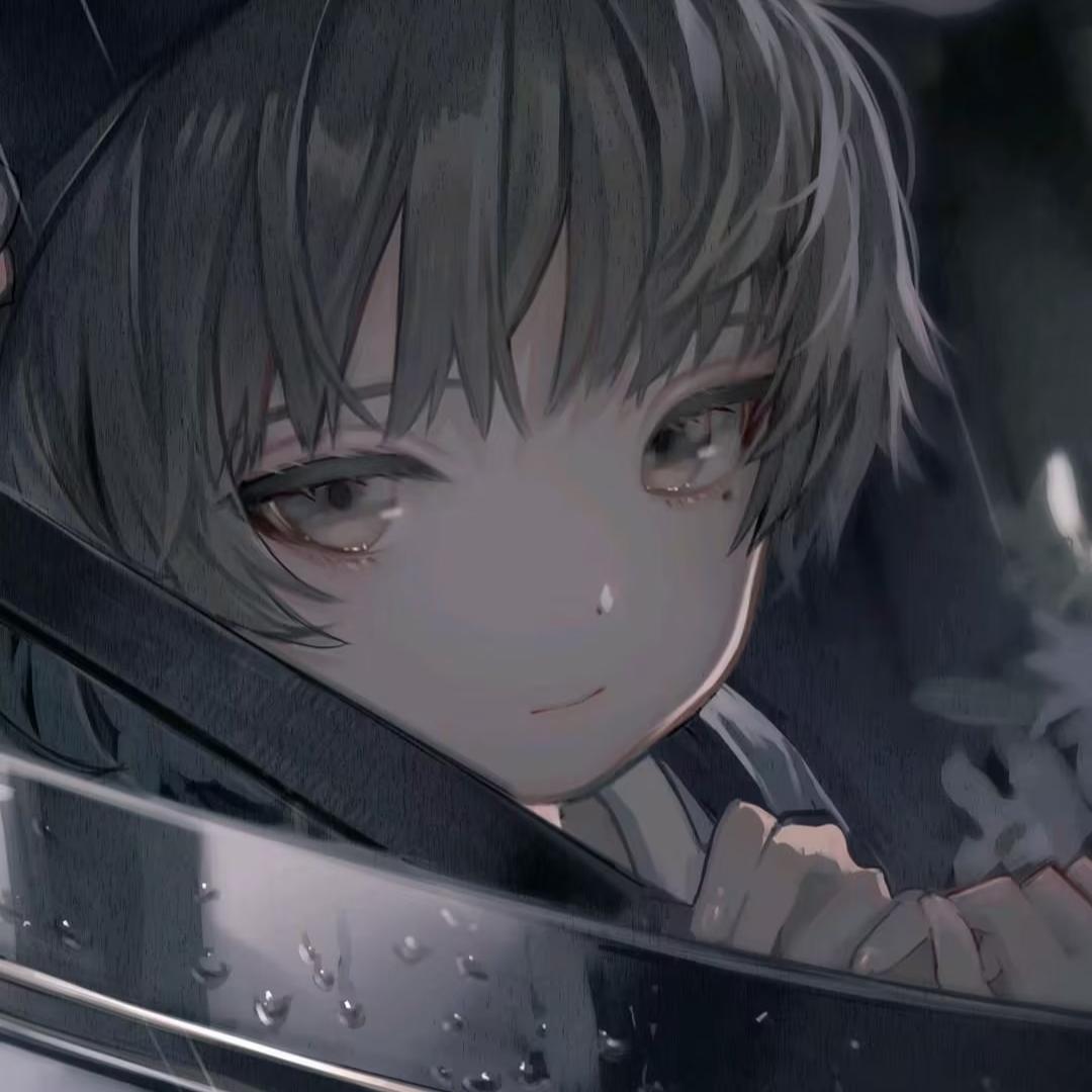 小杰鸭(三角洲行动）